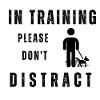 Dog training