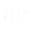 Minimalist Wildflowers Illustration