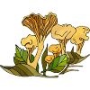 Fungi