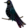 Bunter Vogel