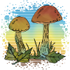 Pilze