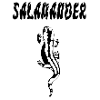Black Salamander