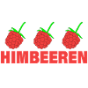RASPBERRIES