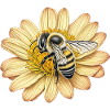 Cute bee and yellow flower