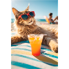Cats - Pension