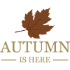 Autumn is here