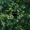 Black cat in disguise