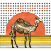 Kamel