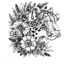 Guépard Fleurs de guépard