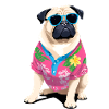 Chill Chihuahua with Beach Vibes