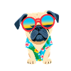 Chill Pug in Shades