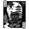 Ninja Cat
