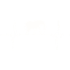 Heartbeat Elephant