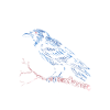 Crow