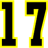 17 Number Leotard