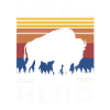 Bison Buffalo