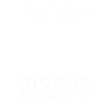 Buffalo Bison