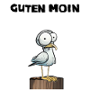 Guten Moin Möwe