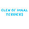 Glen d’Imaal Terrier