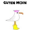 Moin Möwe