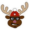 Horst - the crazy moose!
