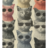 Cats with glasses