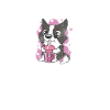 Border Collie Gifts