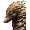 Pangolin