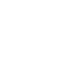 Monstera Tropical Leaves