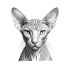 Cool sphynx cat