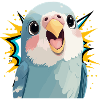 Budgie Parrot Birds