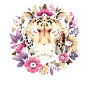 Cheetah Gepard