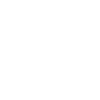 Bear Animal Funny
