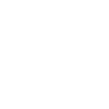 Monkey Animal