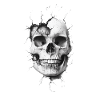 Skull with crack