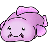 Blobfish, cute ugly fish