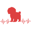 Goldendoodle