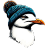 Gull