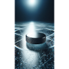Eishockey Puck