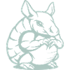 armadillo