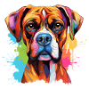 Boxer Hund Motiv