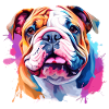 Bulldog Hund Motiv