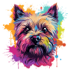 Cairn Terrier Hund Motiv