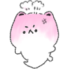 Angry Cat