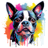 Boston Terrier Hund Motiv