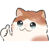 Everything is fine cat