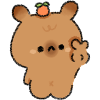 Yolo Capybara