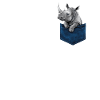 Rhinoceros Rhinoceros