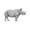 Rhinocéros Rhinocéros