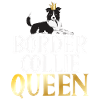 Border Collie Gifts
